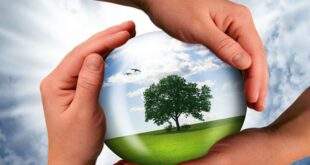 محیط زیست و پنج نکته